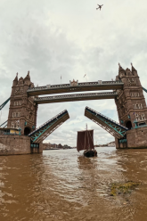 Saga Farmann under London Bridge